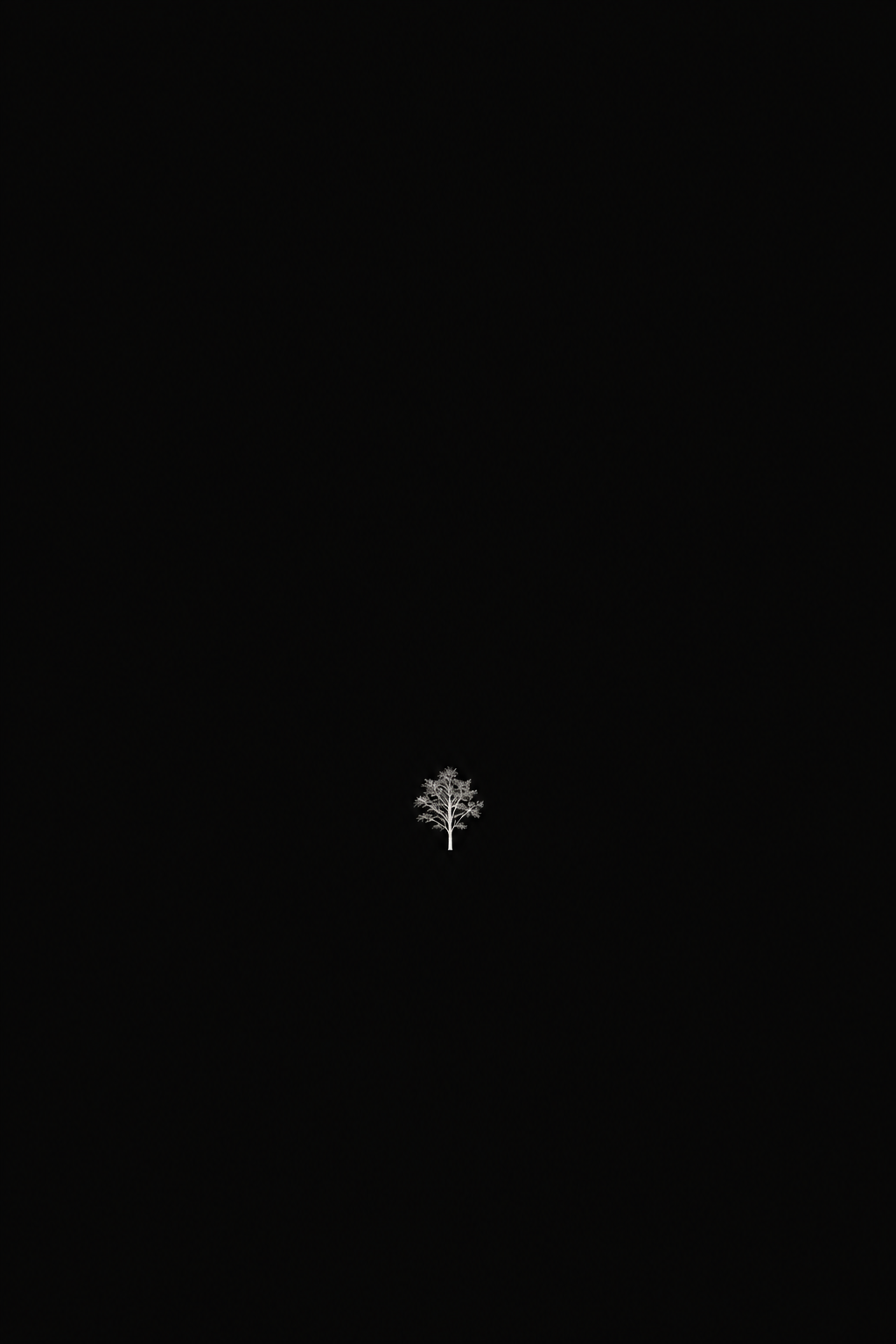 Árbol blanco diminuto en la oscuridad